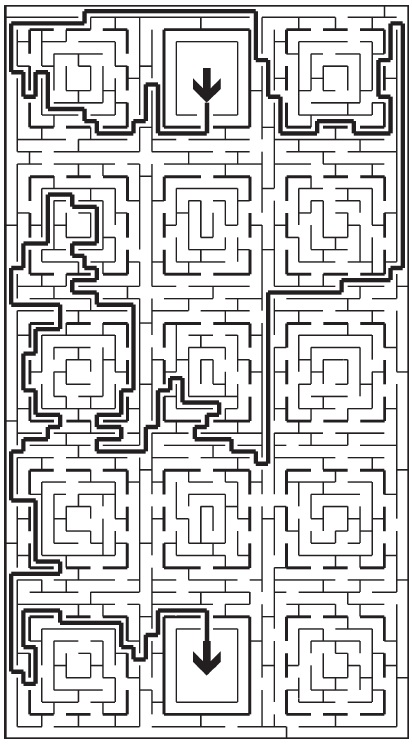 Maze solved example puzzle