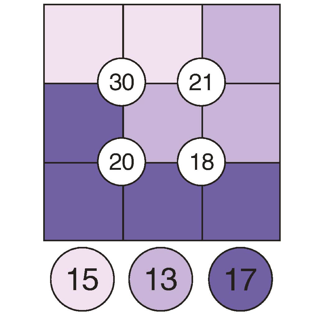 An example of a Sakuro puzzle