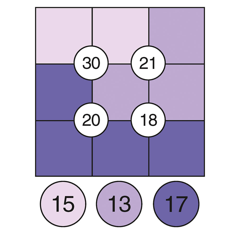 Sakuro Puzzle